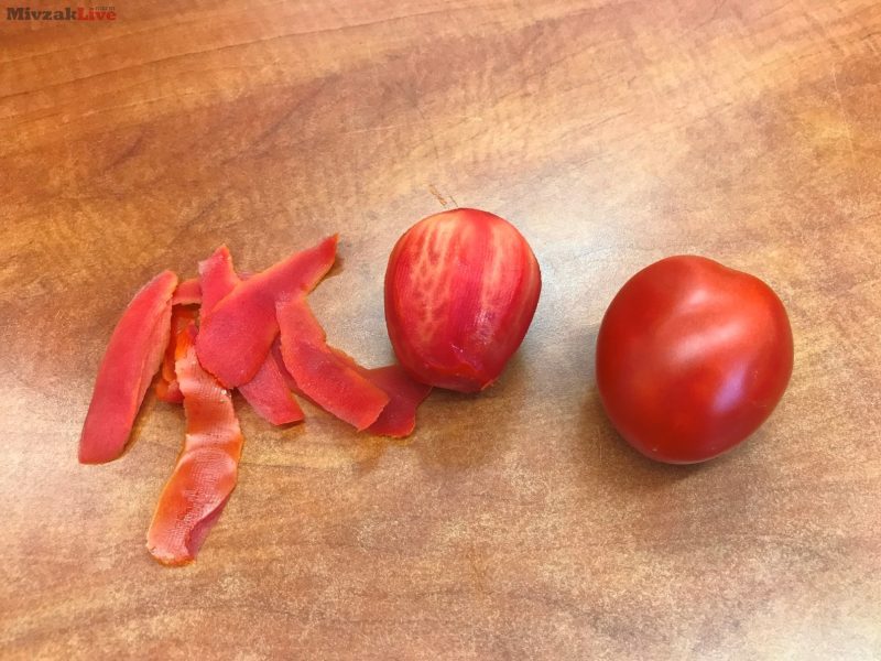 עגבנית דורה של הזרע צילום נילי שניר