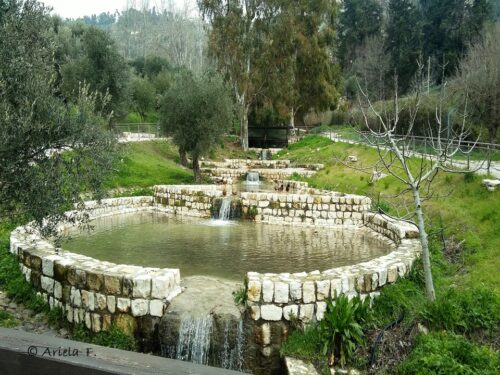 התיירות חוזרת: בצפת יפעילו סיורים מודרכים ללא תשלום!