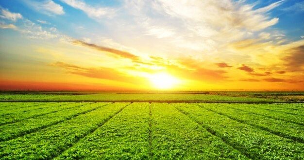 תחזית מזג האוויר: הקלה נוספת בעומסי החום, עדיין חם מהרגיל