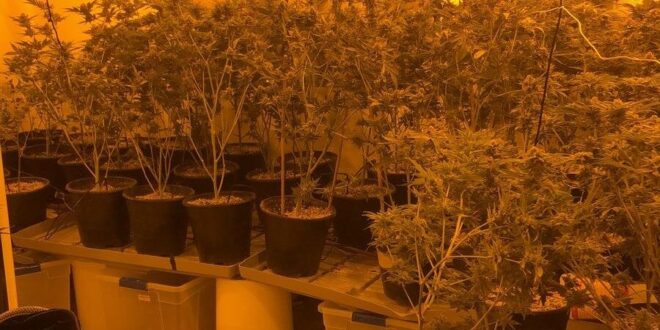 נהריה: מעבדת סמים נחשפה בעיר, בן 31 חשוד בהפעלתה