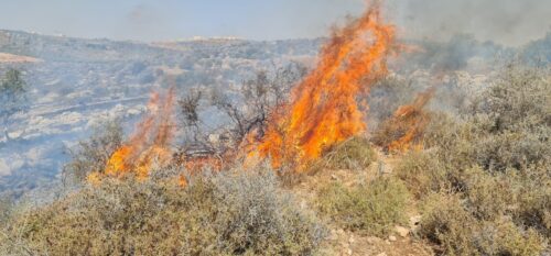 WhatsApp-Image-2021-06-09-at-15.48.07-500x233 שריפה פרצה סמוך לאריאל, צוותי כיבוי אש רבים במקום