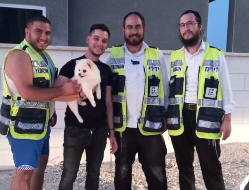 כלבה ננעלה ברכב באופקים