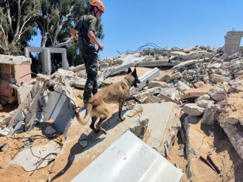יכ"ל מכשירה כלבי הרחה לאיתור וחילוץ נעדרים תחת הריסות