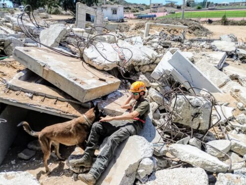 יכ"ל מכשירה כלבי הרחה לאיתור וחילוץ נעדרים תחת הריסות