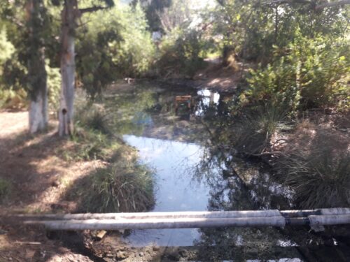תוצאות חריגות נמצאו בדיגום מים שבוצע לבחינת מצב הזיהום בנחלים בצפון