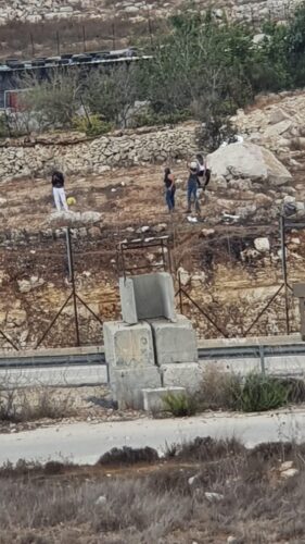 נעצרו 3 פלסטינים בני 17 לאחר שיידו אבנים לעבר לוחמים