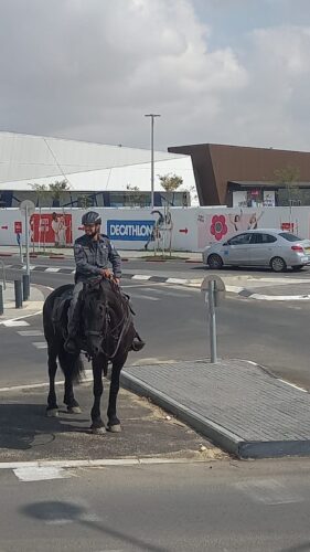 פרשי משטרה מסיירים בבאר שבע