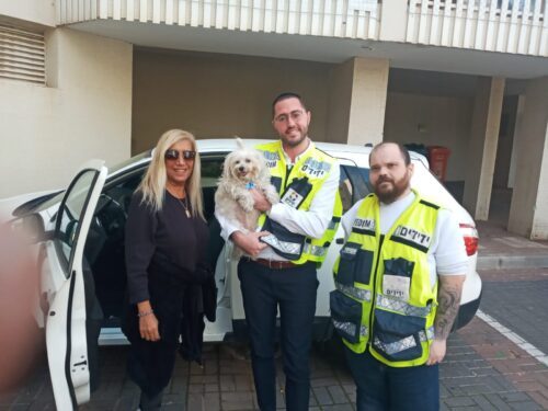 נס ציונה: מתנדבי הארגון ‘ידידים’ חילצו כלב שננעל ברכב