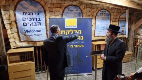 משוחרר מקרדיט