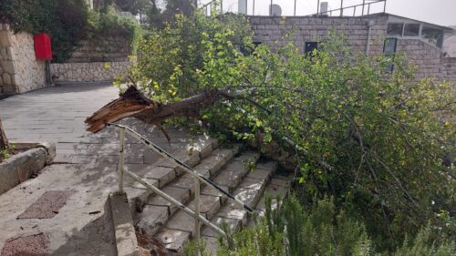 ירושלים: אישה בת 70 נפצעה קל מענף עץ שנשבר בחסות הרוחות החזקות