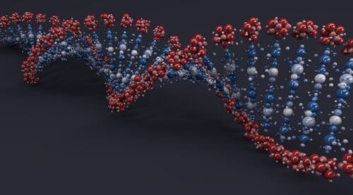 חוקרים מביה”ח סורוקה ואונ’ בן גוריון פענחו מנגנון גנטי להפרעות קשב וריכוז