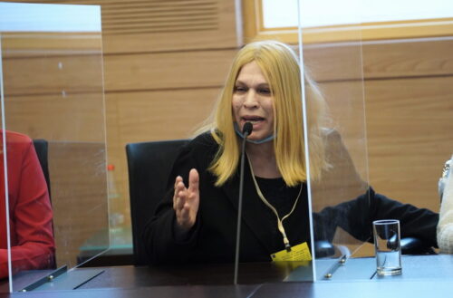 קארין באומן שיתפה בדמעות במהלך דיון בכנסת: "ראיתי חושך, מפחדת לאבד את החיים"