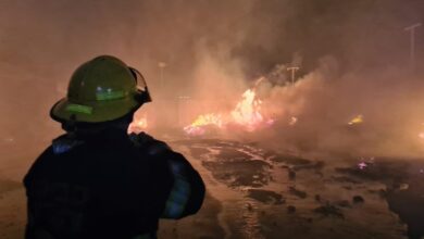 אלפי משטחים עולים באש: שריפה פרצה במחסן עצים בחיפה