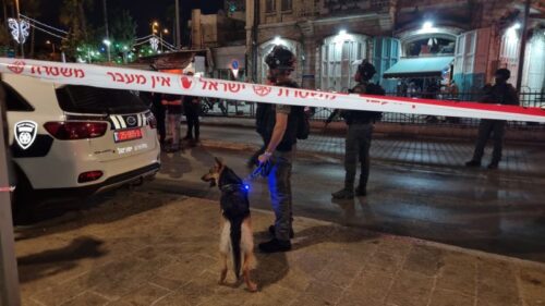 המחבל היה חמוש בשתי סכינים ומוכן להסתער: כל הפרטים על הפיגוע בירושלים