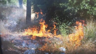 מחוסר בית מהצפון חשוד בהצתת חורשה סמוך ליישוב מירון