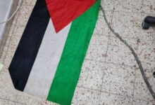 נעצרו ארבעה חשודים שיידו אבנים כשדגלי פלסטין עליהם