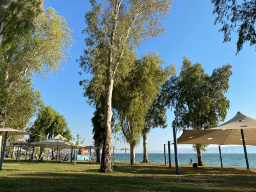 בעיריית טבריה לא לוקחים סיכונים: "אל תגיעו לחופים!"