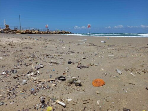עלייה בניקיון החופים: מעל 80% דורגו כ"נקיים" עד "נקיים מאוד"