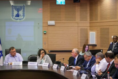 Economic Committee - David Bitan